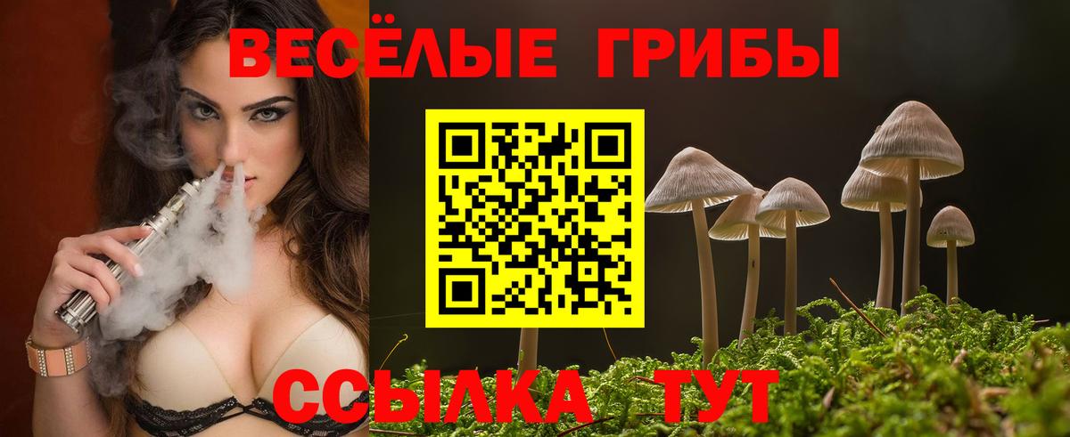 Псилоцибиновые грибы Psilocybine cubensis  Псилоцибиновые грибы Cubensis  Саянск  Вход с VPN 